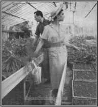 Couple in Greenhouse 2